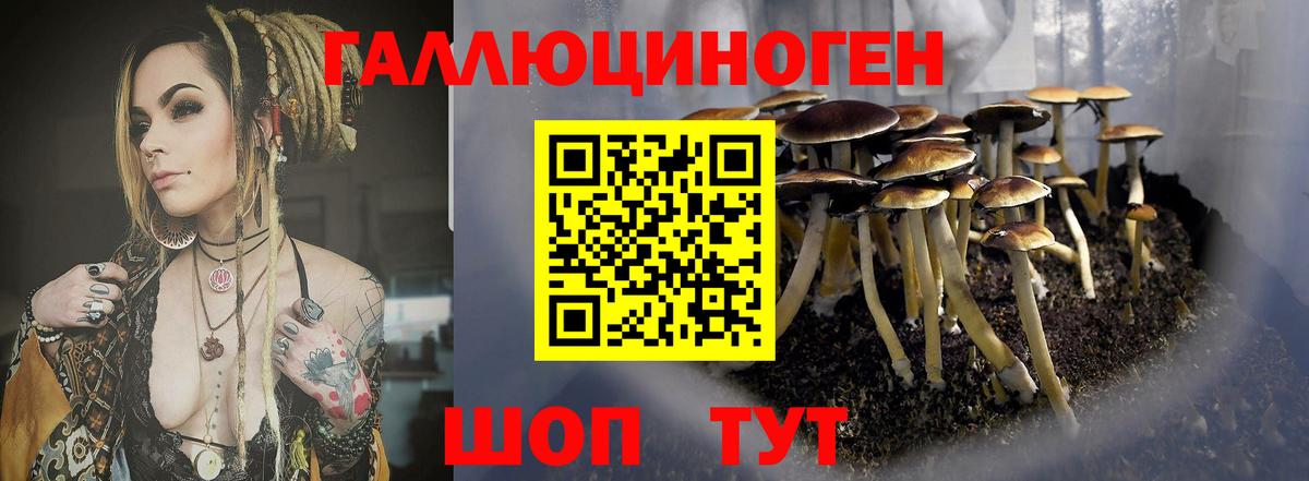 Новошахтинск  Галлюциногенные грибы мицелий  Галлюциногенные грибы GOLDEN TEACHER  Вход с VPN 